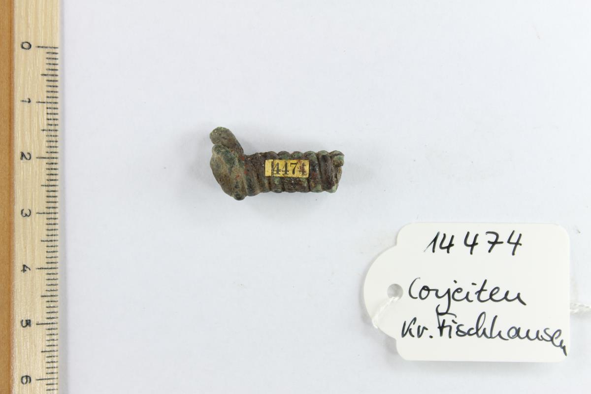 Fibelfragment