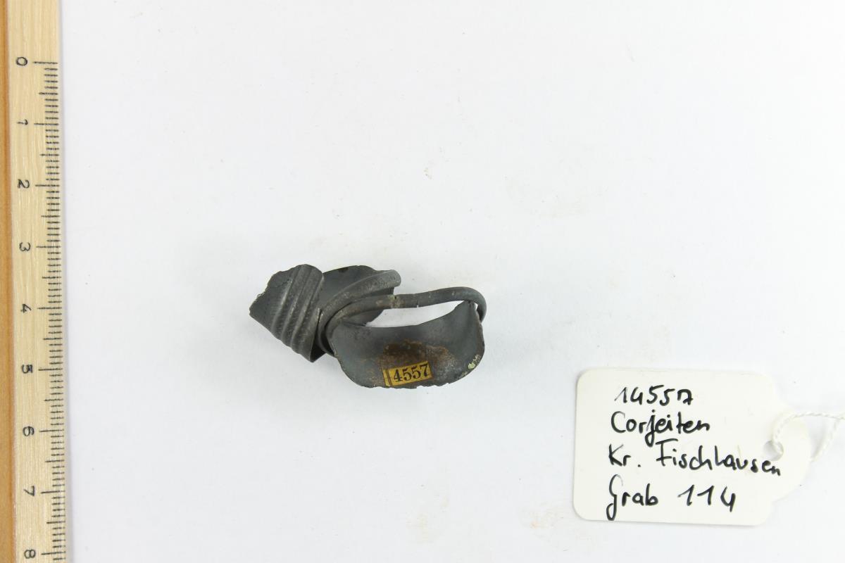 Fingerring