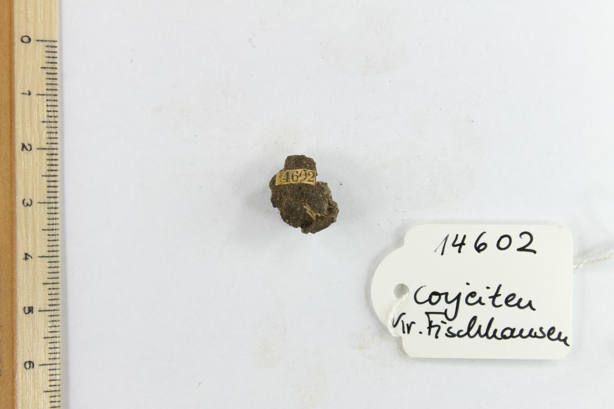 Fibelfragment