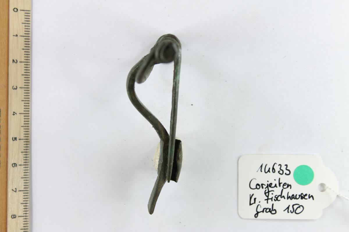 Armbrustfibel