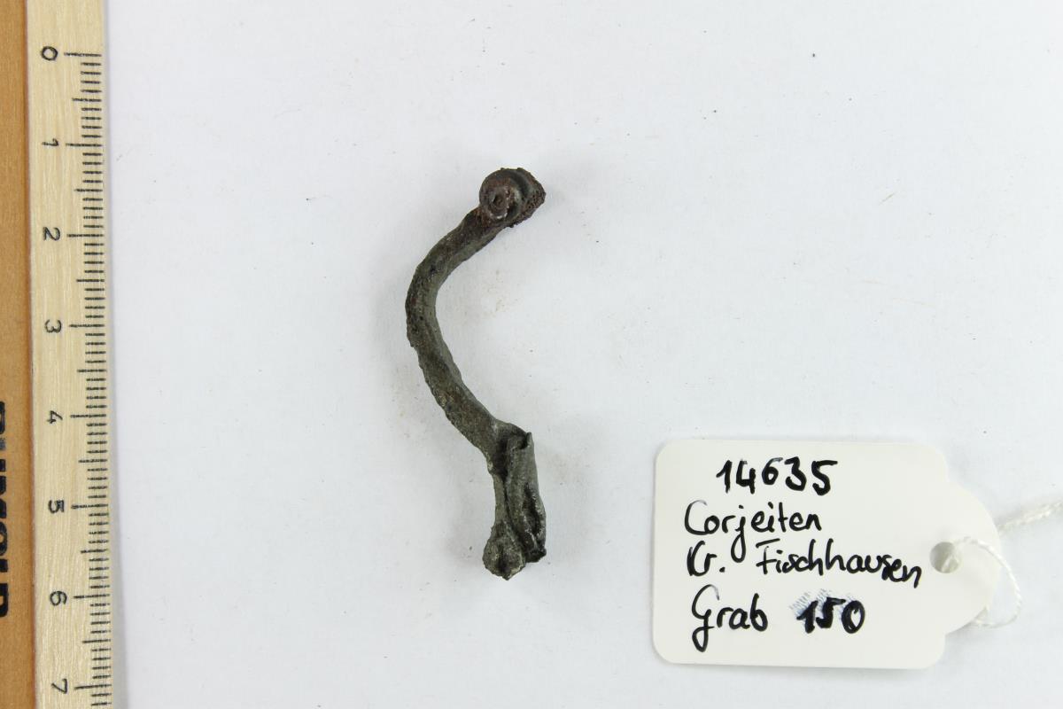 Fibelfragment