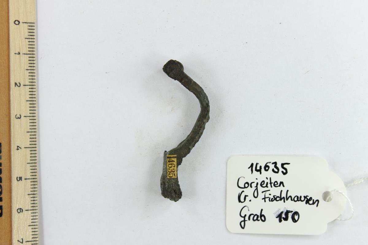 Fibelfragment
