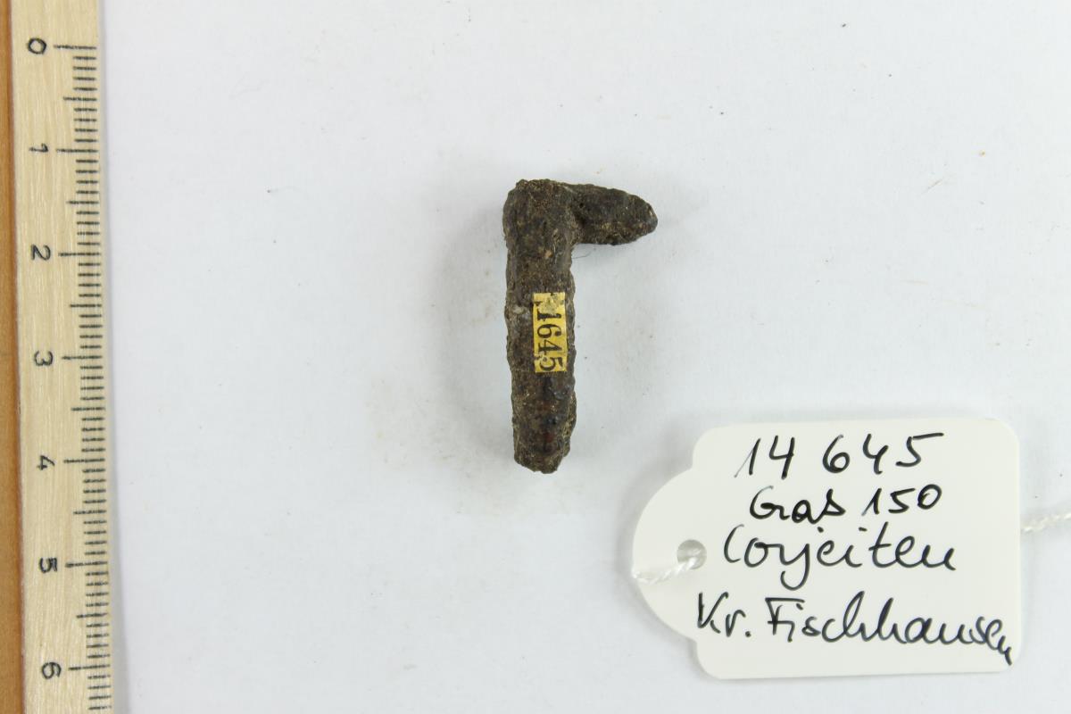 Gürtelschnallenfragment