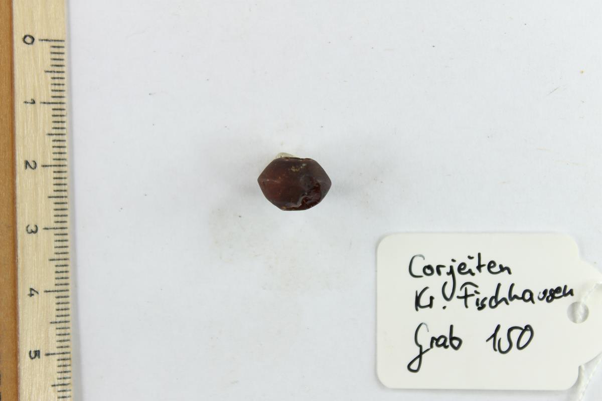Bernsteinperle