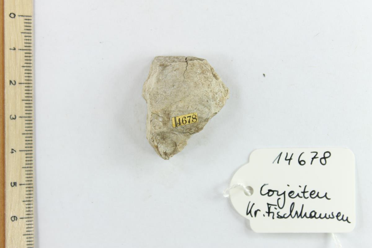 Silex