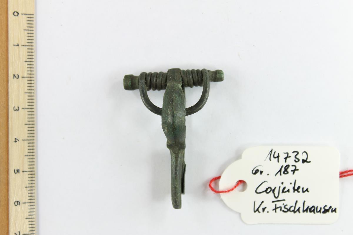 Armbrustfibel