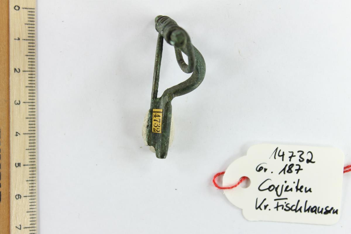 Armbrustfibel