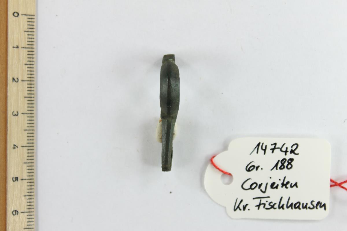 Armbrustfibel