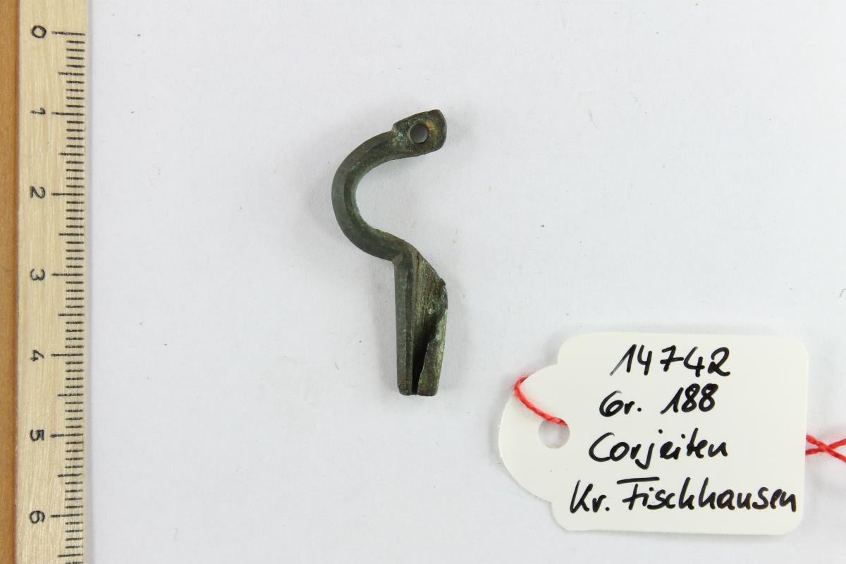Armbrustfibel