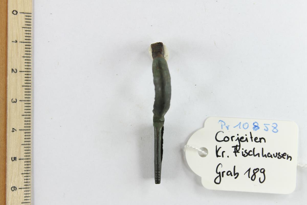 Armbrustfibel