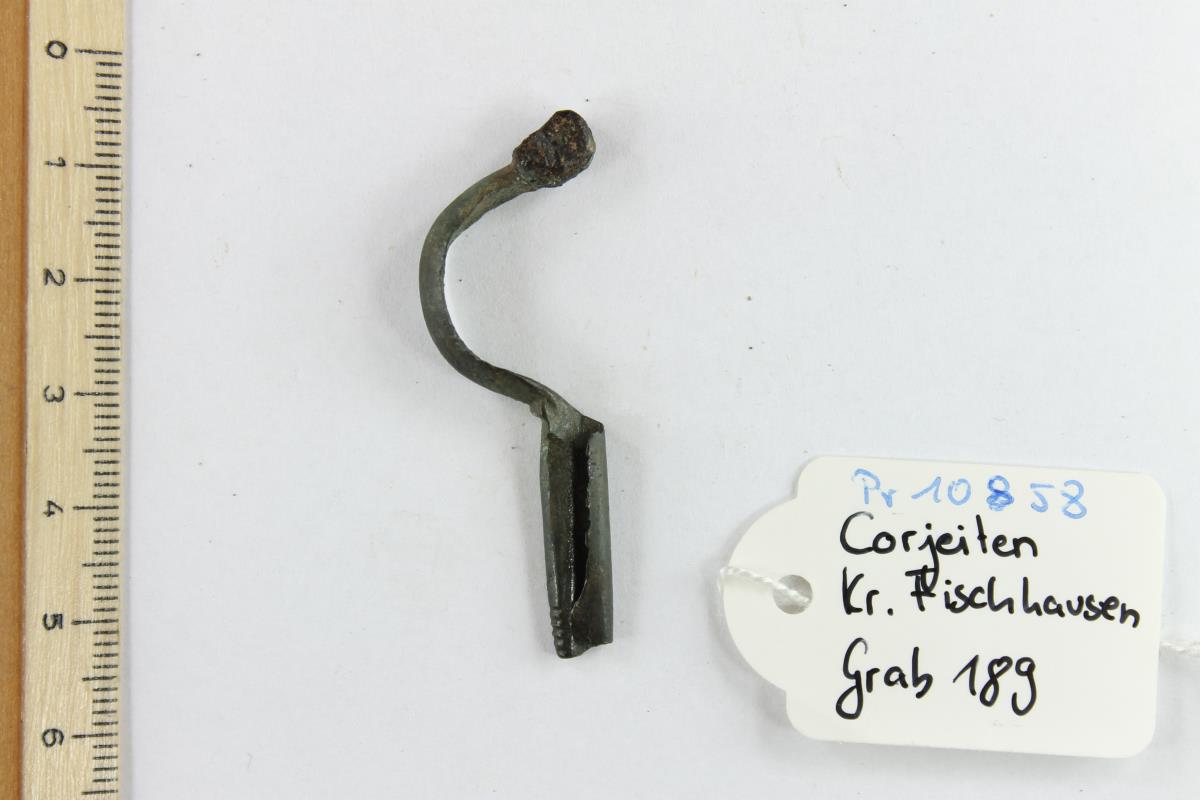 Armbrustfibel