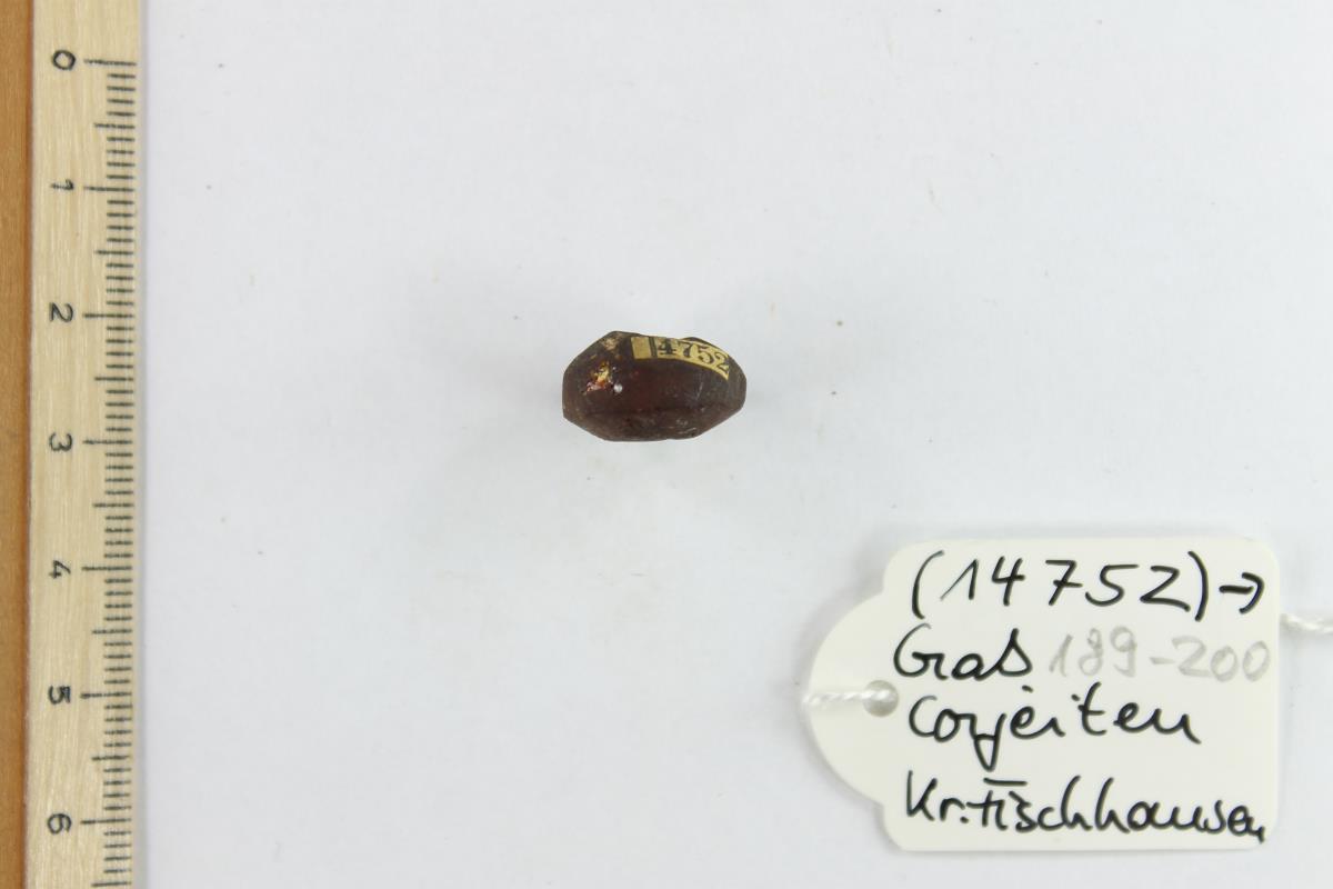 Bernsteinperle
