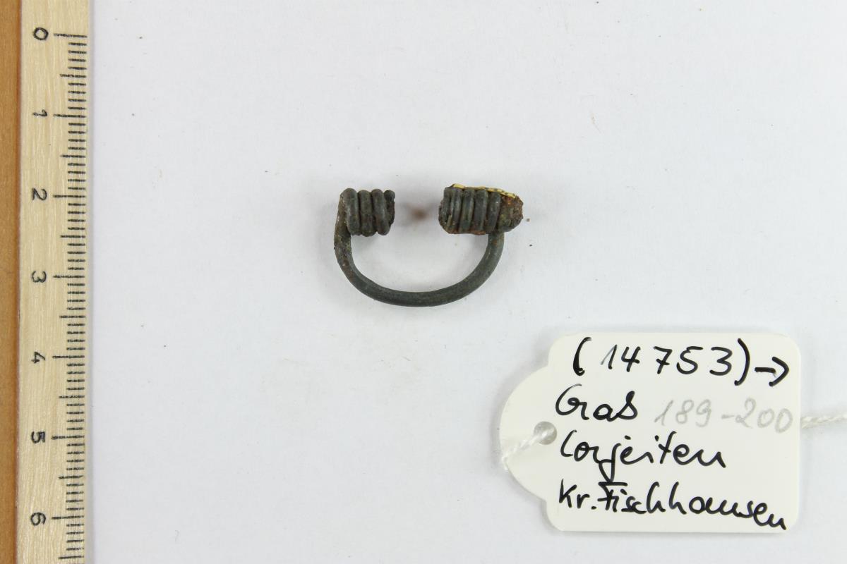 Fibelfragment