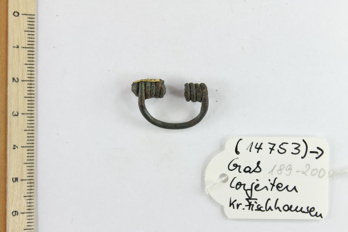 Fibelfragment