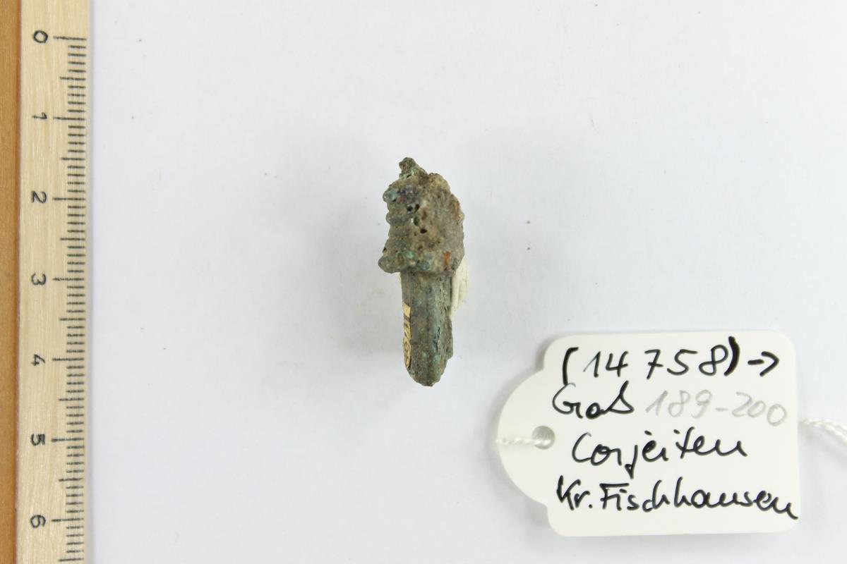 Fibelfragment