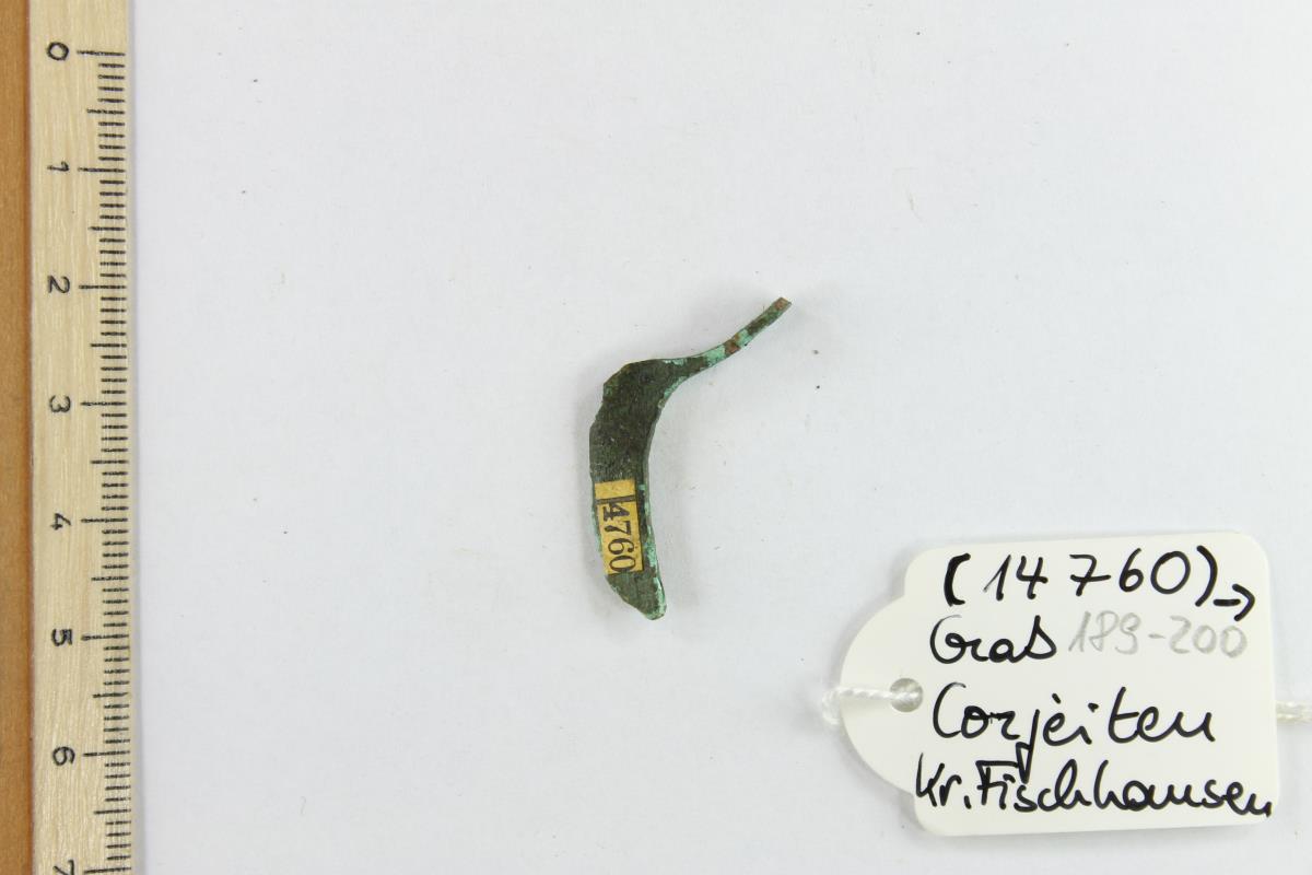 Fibelfragment