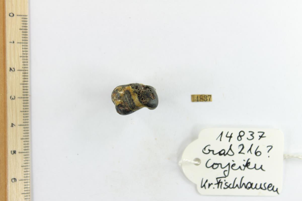 Glasperle