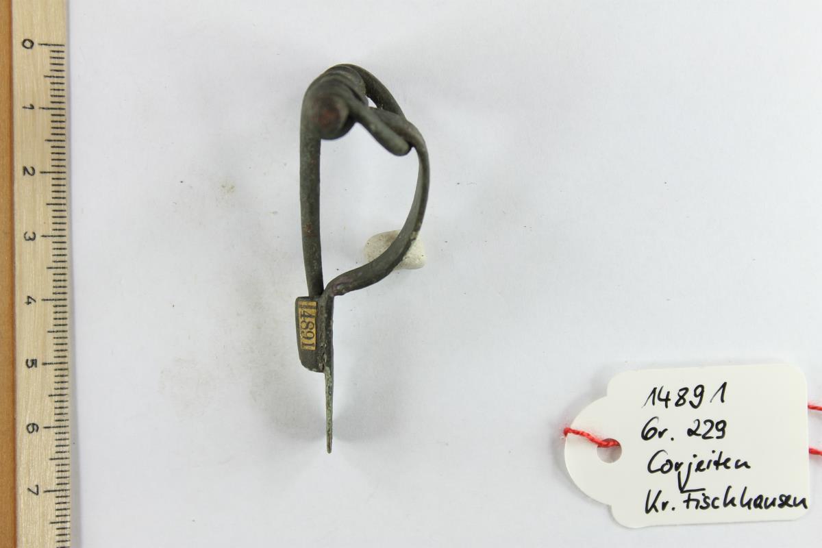 Armbrustfibel