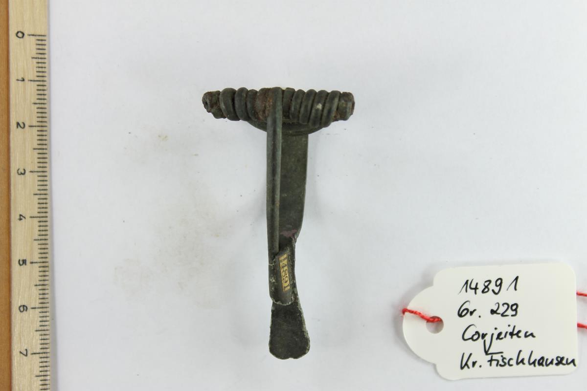 Armbrustfibel