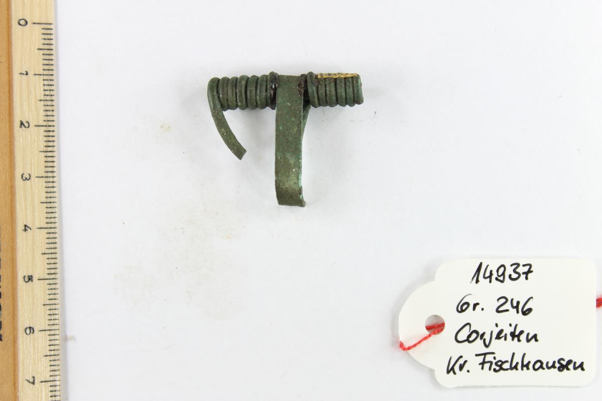 Fibelfragment