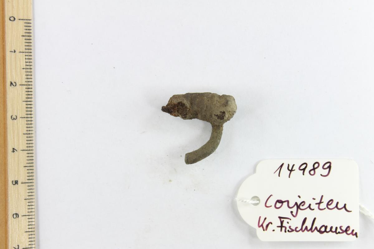 Fibelfragment