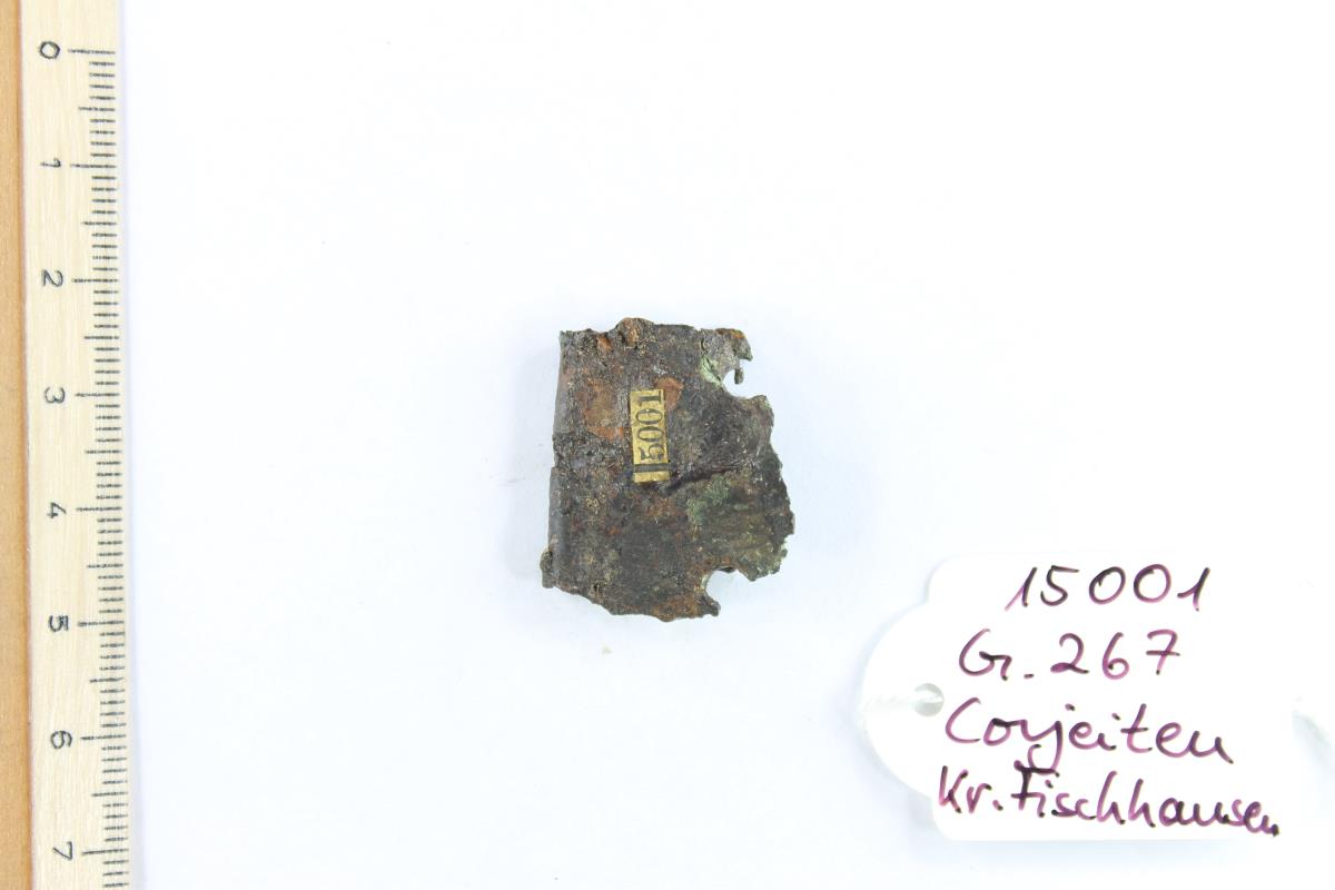 Gürtelschnallenfragment