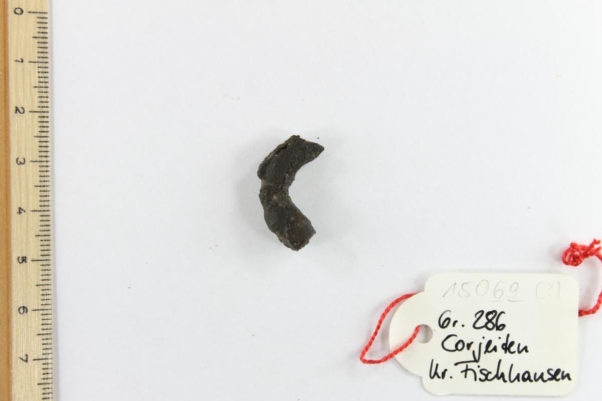 Fibelfragment