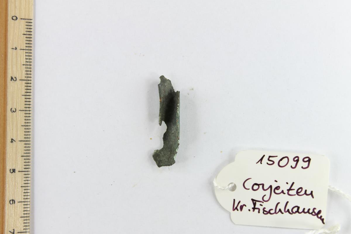 Fibelfragment