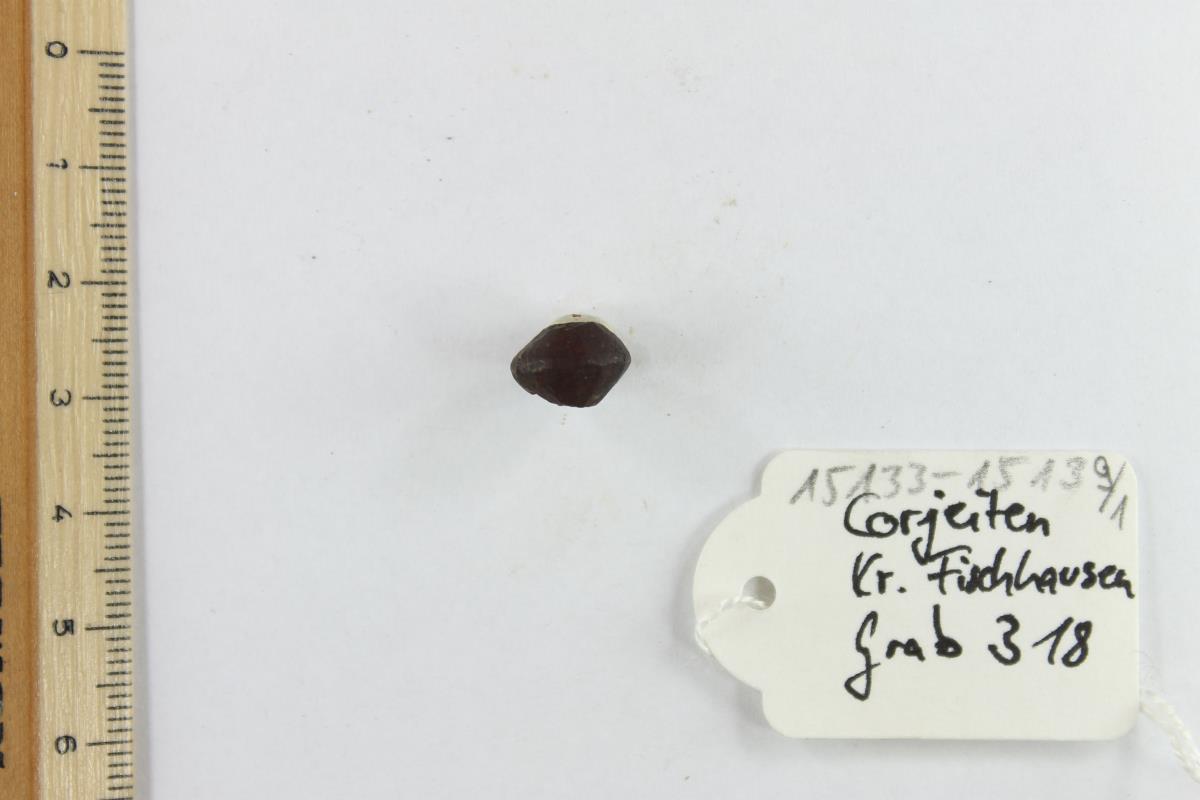 Bernsteinperle