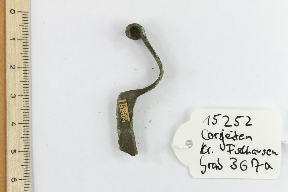 Fibelfragment