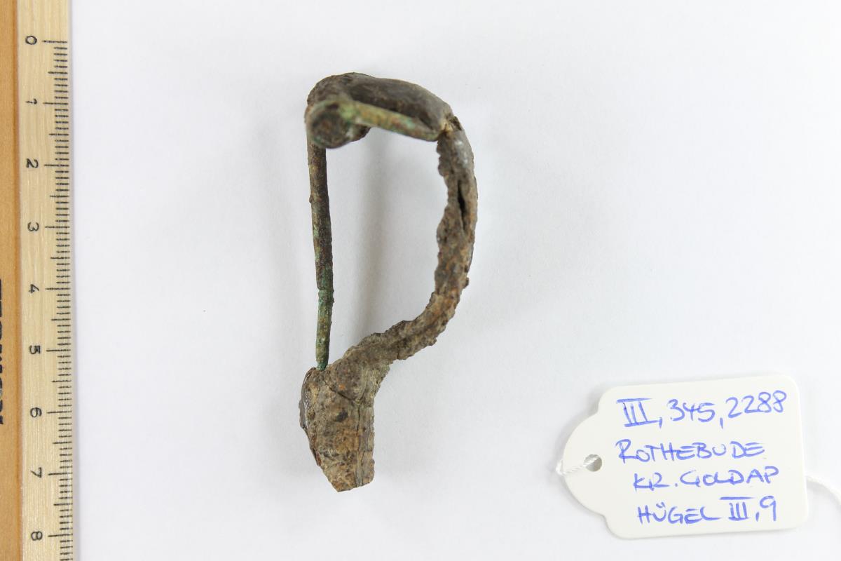 Armbrustfibel