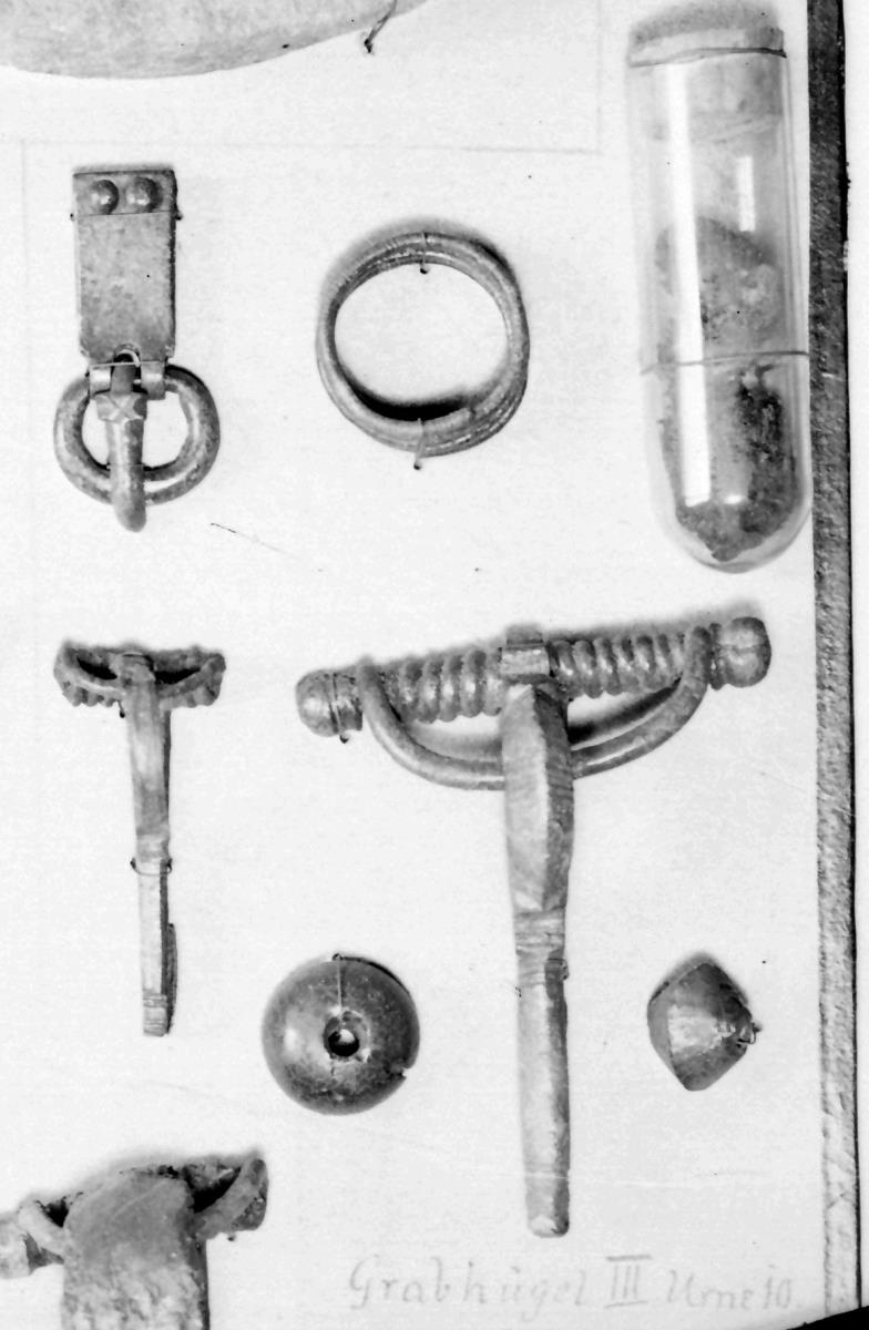 Armbrustfibel