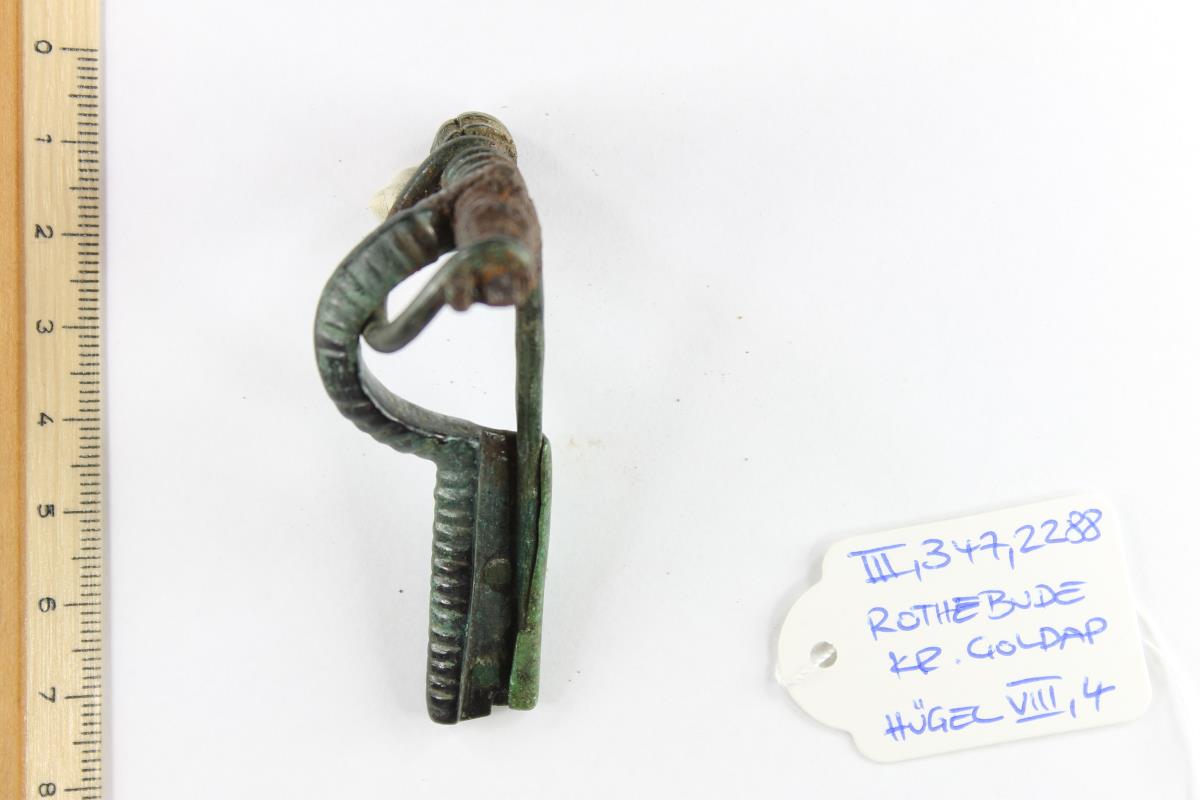 Armbrustfibel