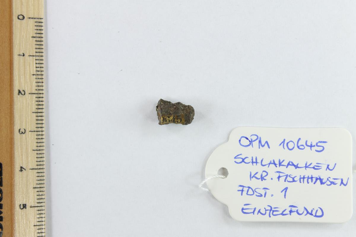 Fibelfragment