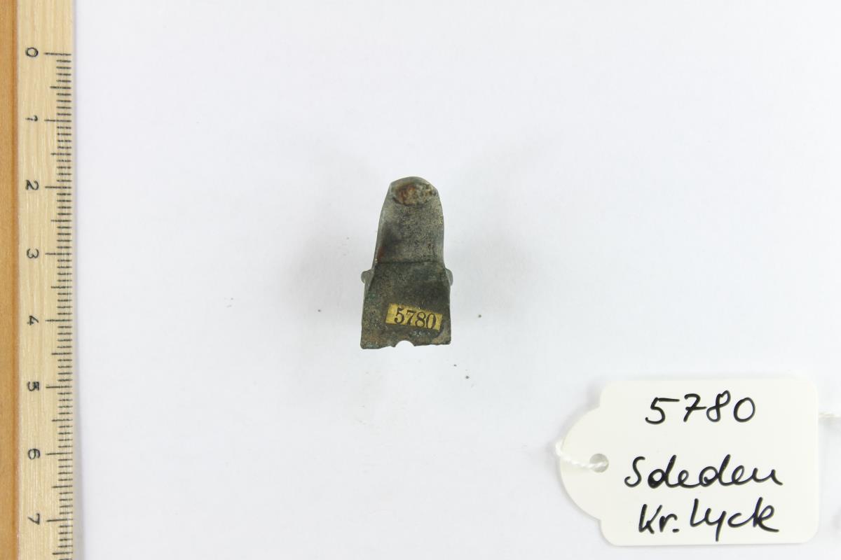 Zaumzeugbeschlag