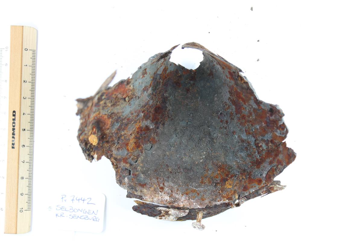 Schildbuckel