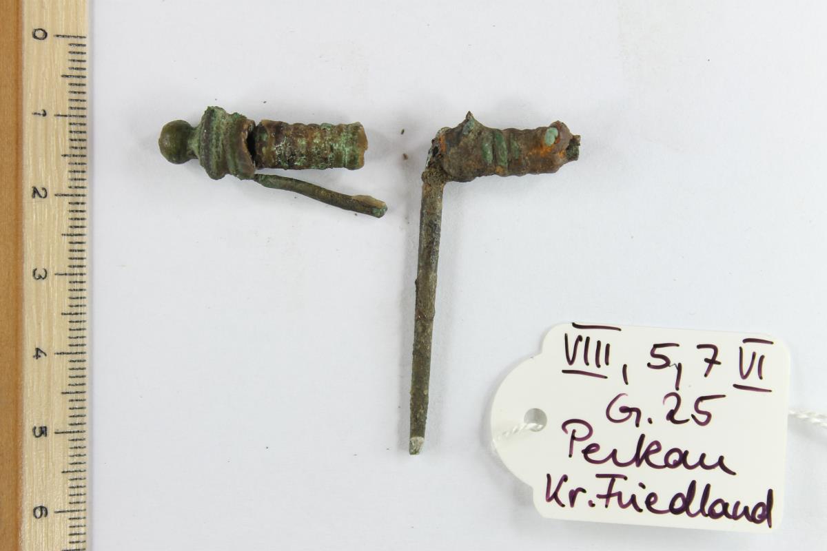 Fibelfragment