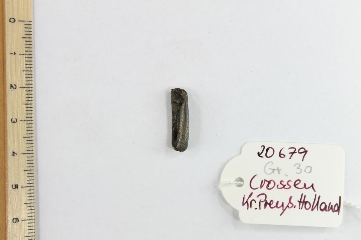 Fibelfragment