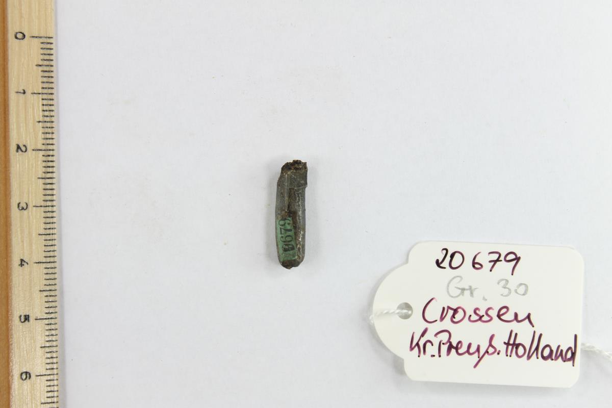 Fibelfragment