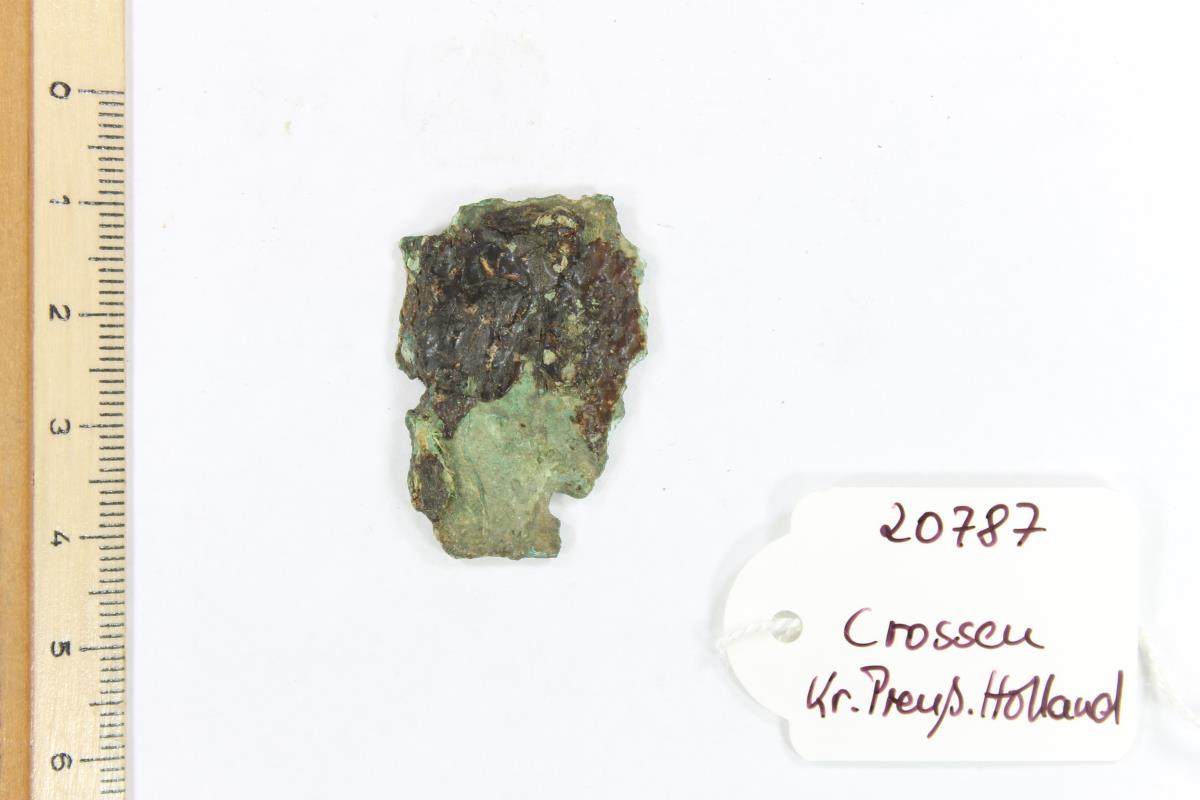Riemenkappe