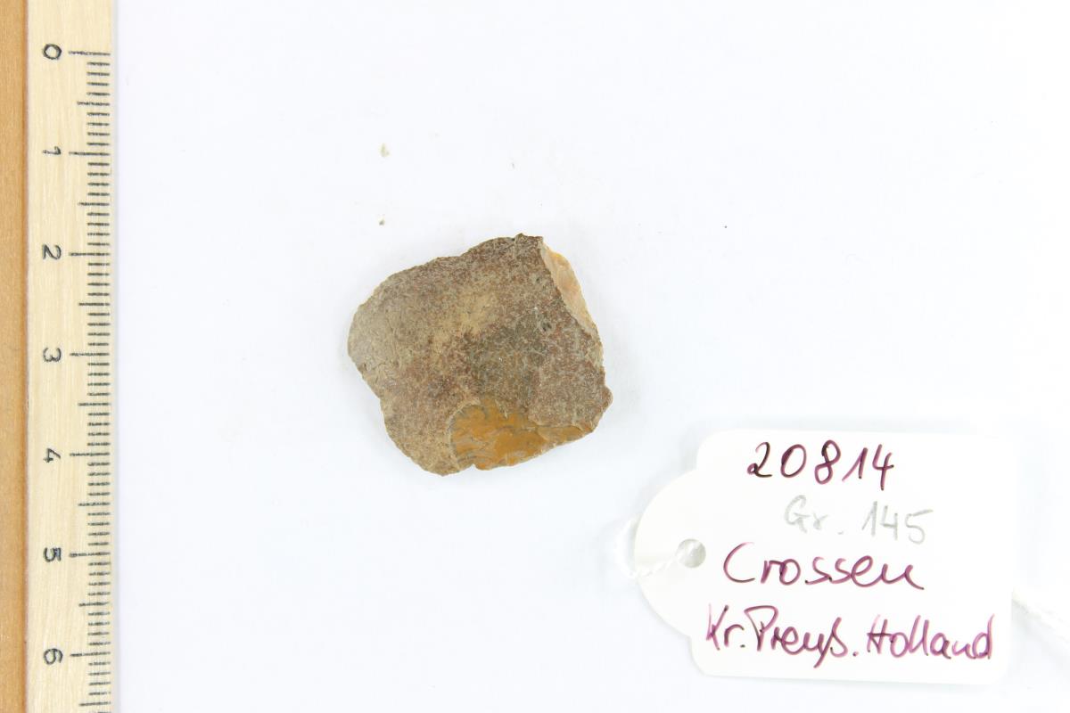 Silex