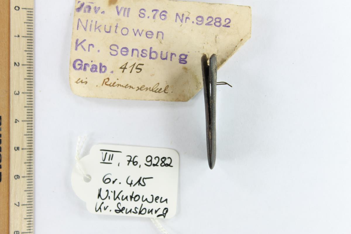 Riemenzunge