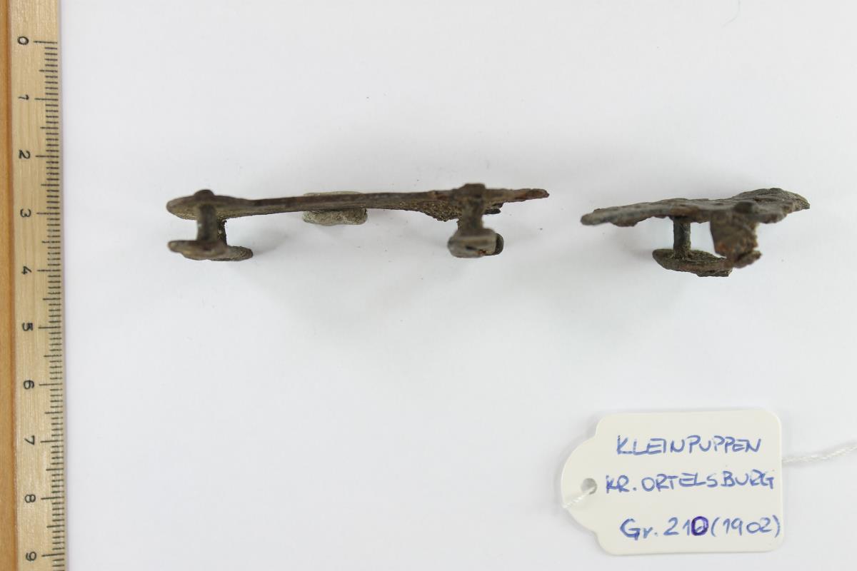 Schildfessel
