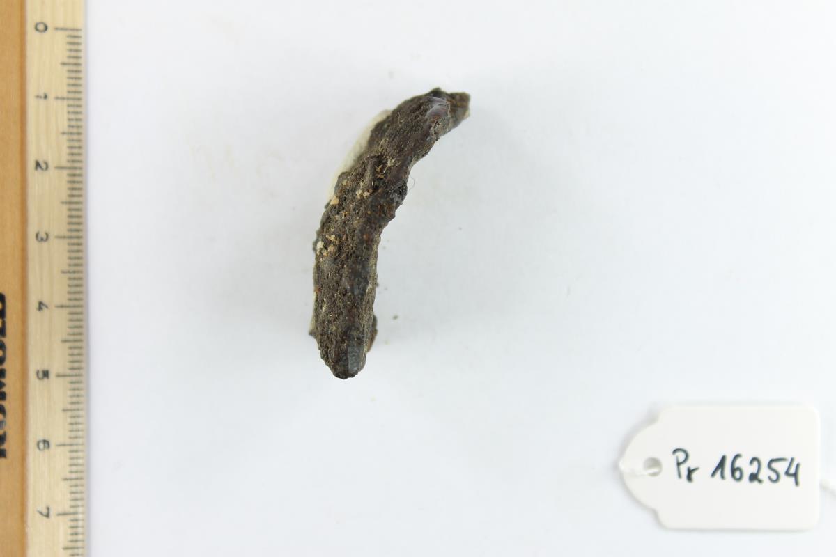 Eisenfragment