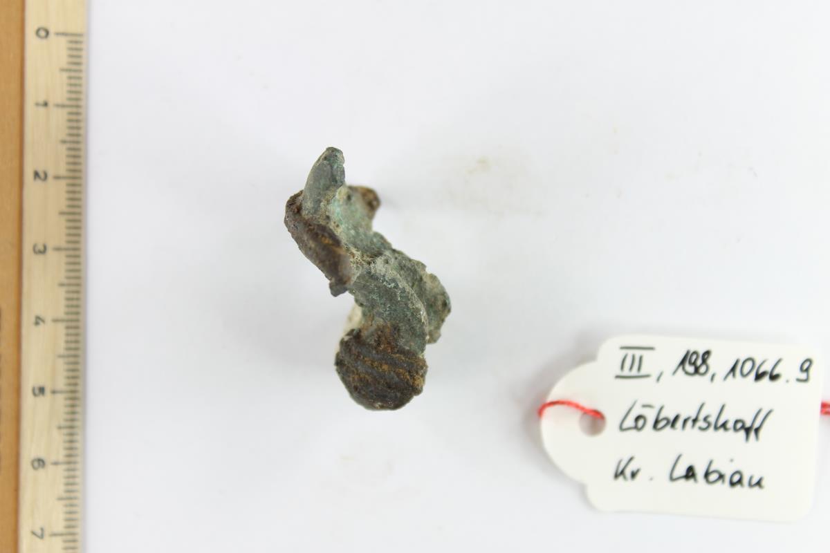 Fibelfragment