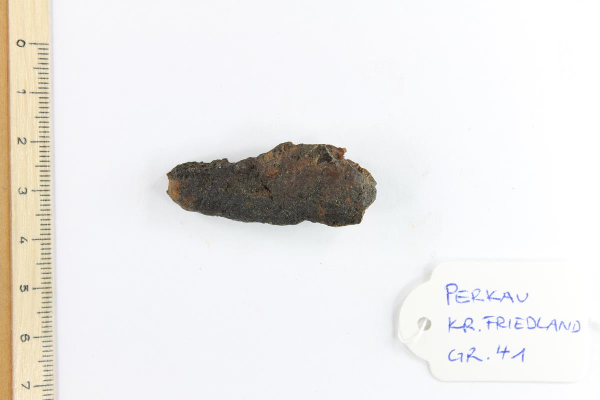 Fibelfragment