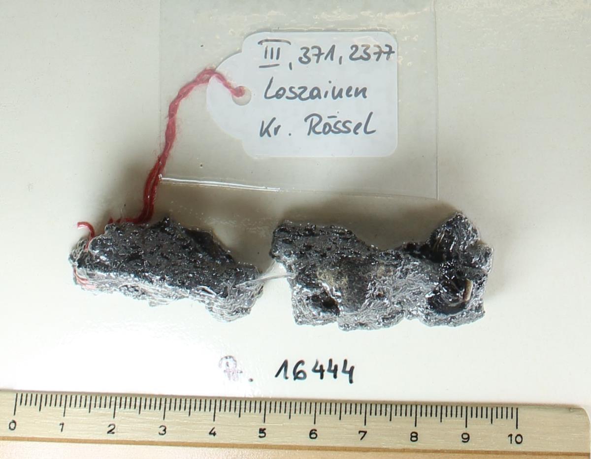 Gürtelschnallenfragment