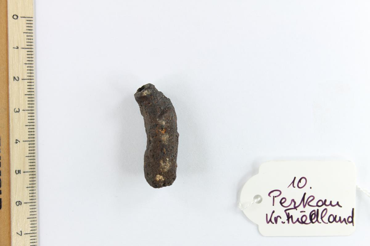 Fibelfragment