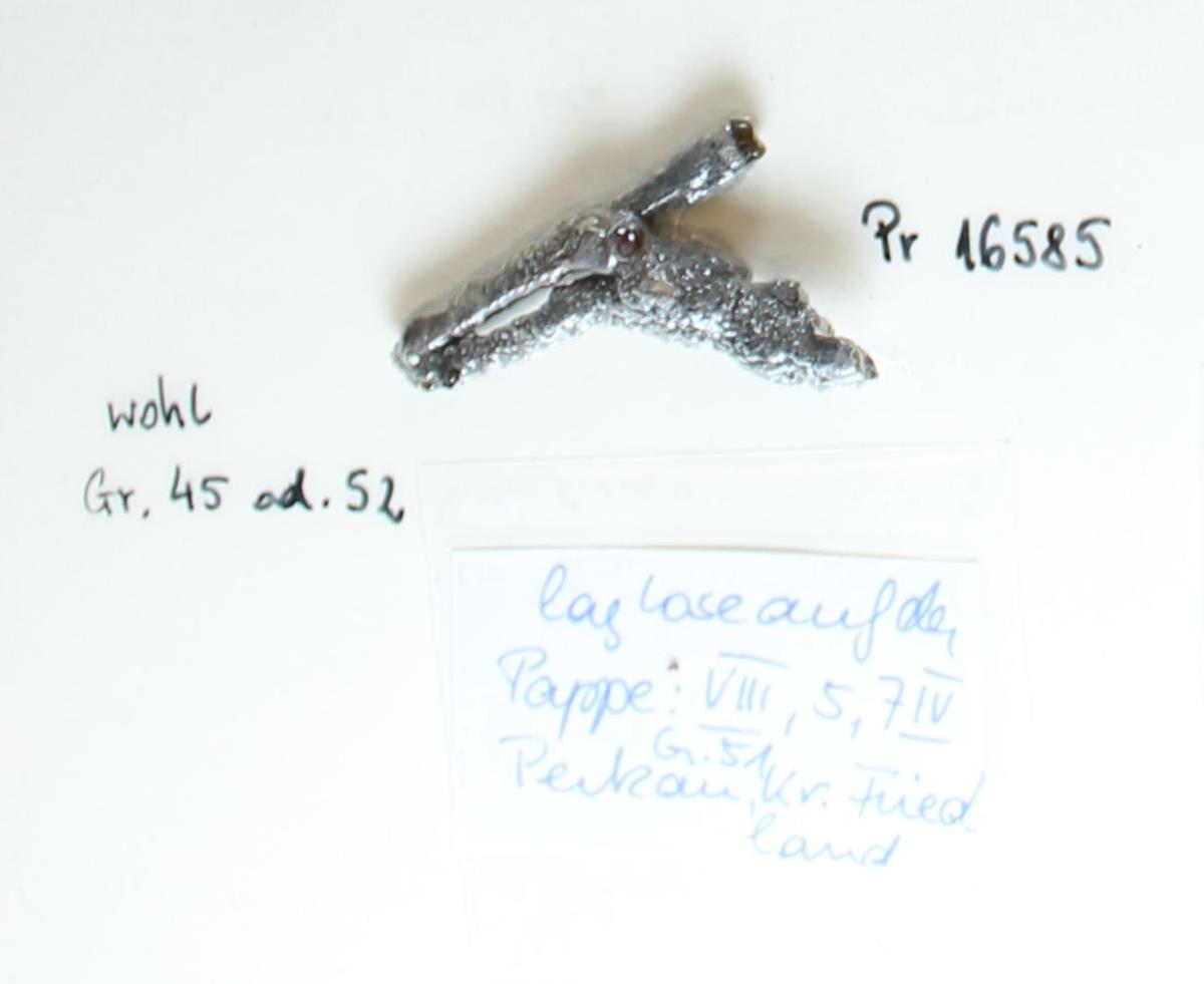 Fibelfragment