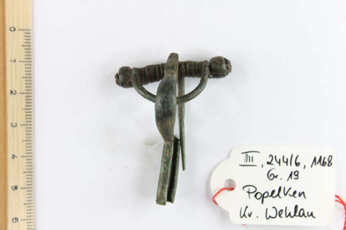 Armbrustfibel